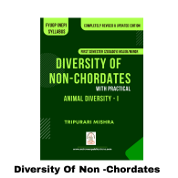 DIVERSITY OF NON-CHODATES