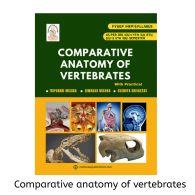comparative anatomy of vertebrates with practical