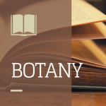 Botany